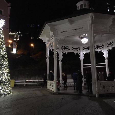 Elvira Apartment Karlovy Vary Luaran gambar