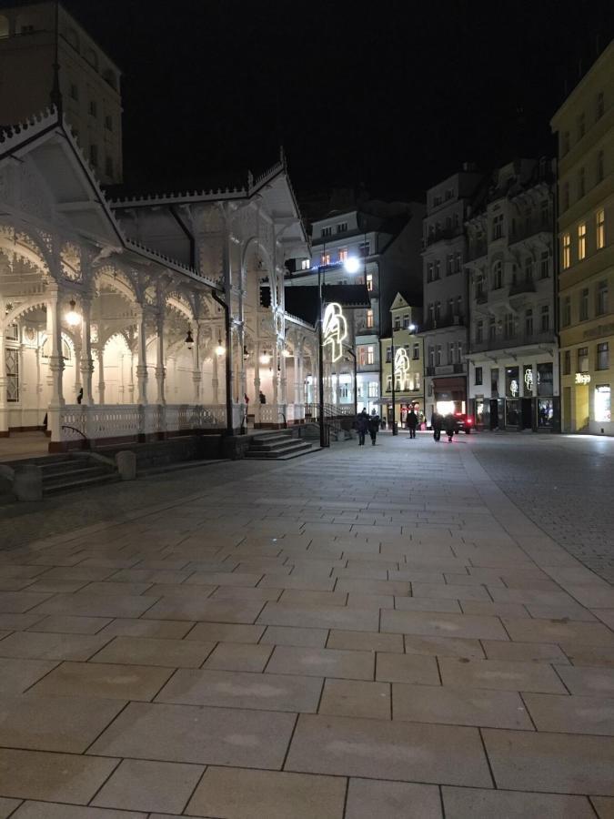 Elvira Apartment Karlovy Vary Luaran gambar